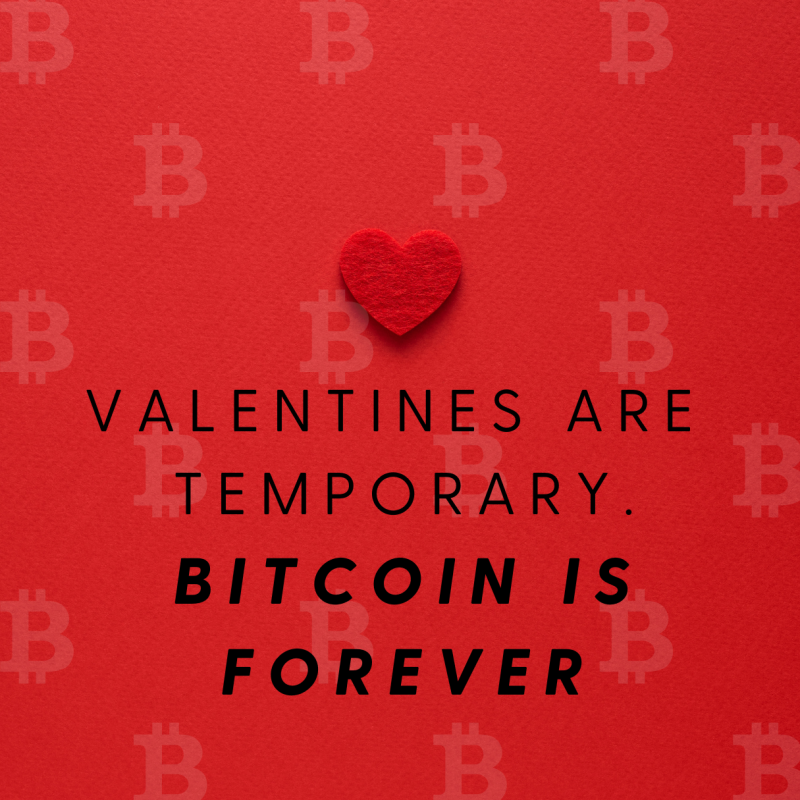 Bitcoin é mantido forte à medida que o Fed reajustando sua postura de criptografia