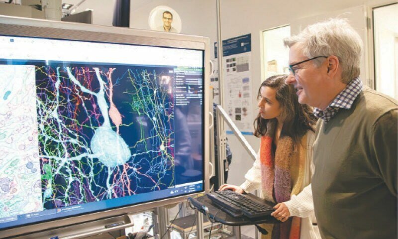 Os cientistas criam um diagrama de fiação indolor para o cérebro do mouse – o mundo