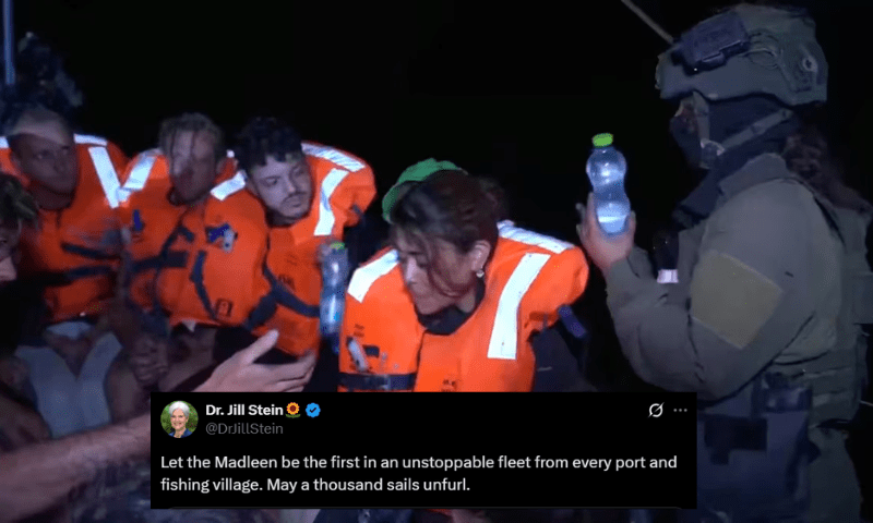 “Free Madrien”: Angry entra em erupção quando Israel apreende o navio de ajuda ligado a Gaza, “Adutos” Ativistas – Comentários