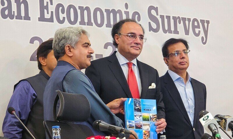 “Resultados quase substanciais”: analistas consideram pesquisas econômicas para 2025 – Prism