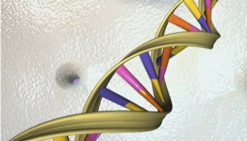 O primeiro teste de fertilização in vitro do mundo reduz o risco de bebês herdando doenças – mundo