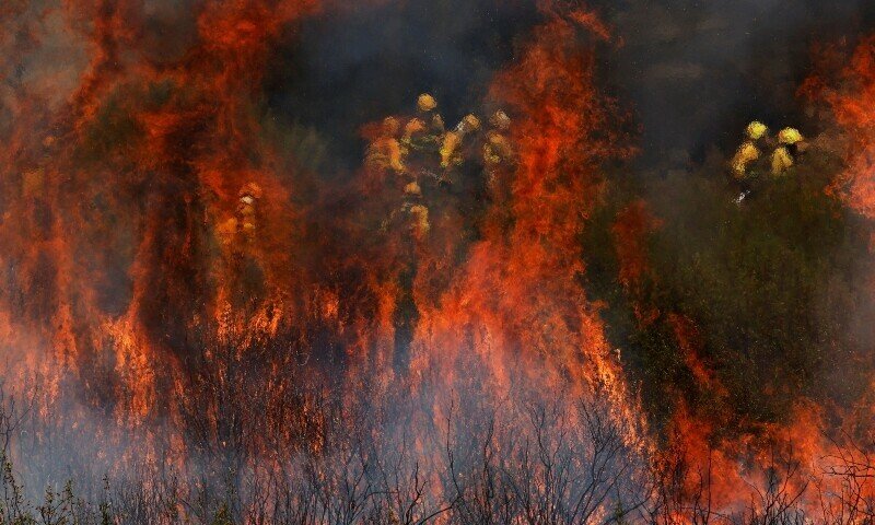 Incêndios florestais, ventos fortes raiva em toda a Europa – o mundo
