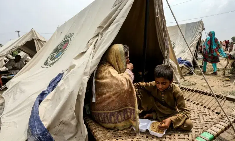 Medo da inflação alimentar devido à devastação de inundação – jornal