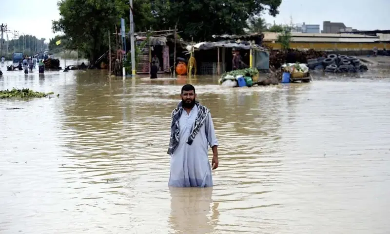Pakistan will have to adapt to floods as the new normal, says expert – Pakistan