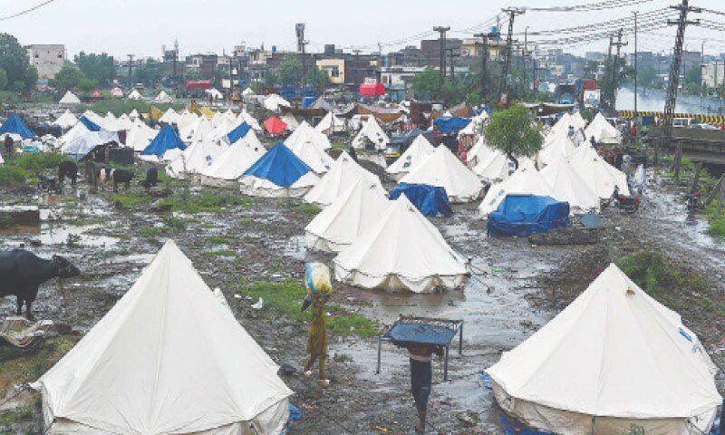 Pegada: a escola se torna em casa – jornais