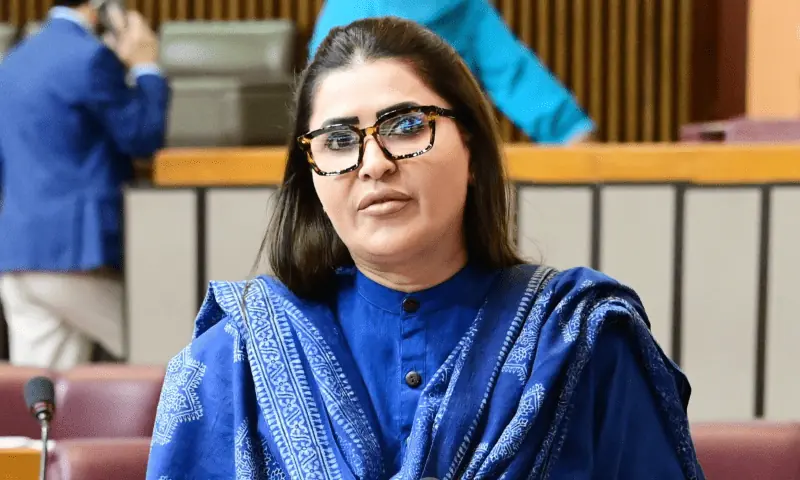 PPP critica governo federal por lançar ‘coquetéis molotov’ em civis perto de Ramazan – Paquistão