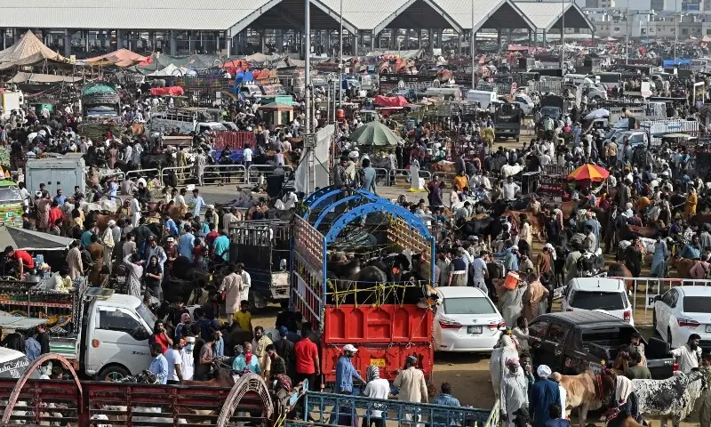 Mercado de gado KP vê alta atividade comercial antes do Eid – Paquistão