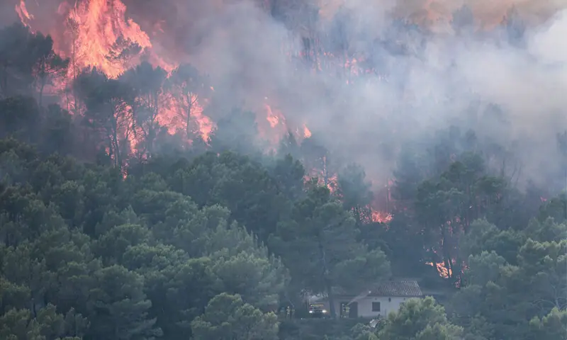 Incêndios florestais mortais na Europa obrigam milhares de pessoas a evacuar – Mundo